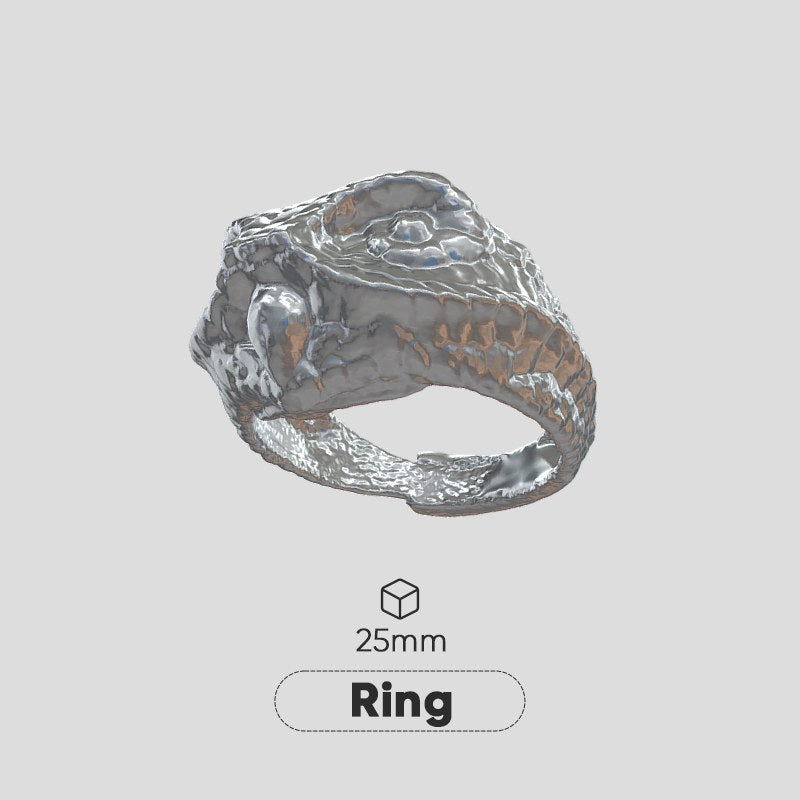 Anillo de 25 mm escaneado con el escáner 3D 3DMakerPro Seal
