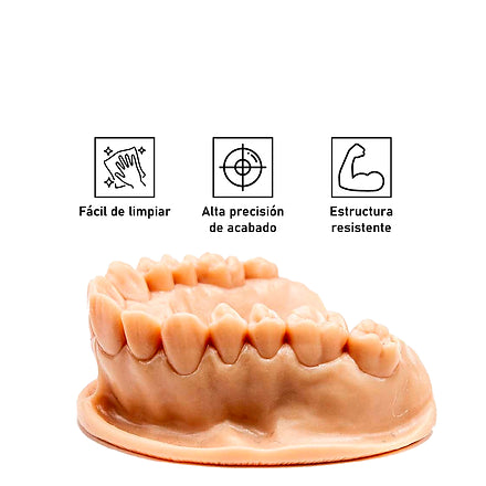 Modelo dental impreso en ELEGOO Dental Orthodontic: fácil de limpiar, alta precisión de acabado y estructura resistente