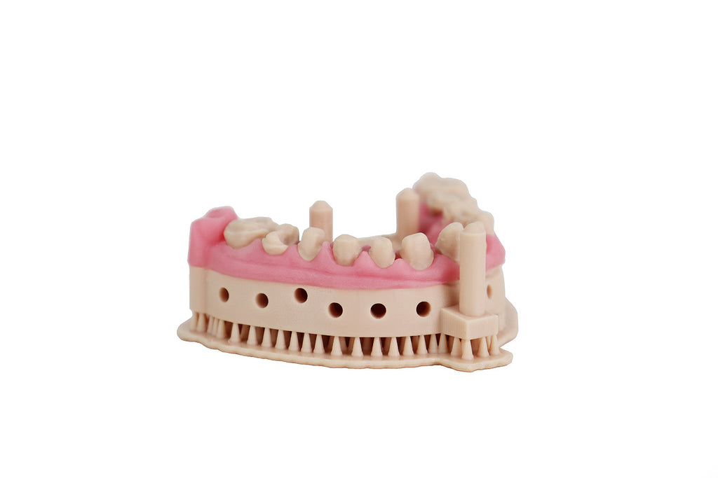 Modelo dental impreso en Liqcreate Dental Model Pro beige con encía