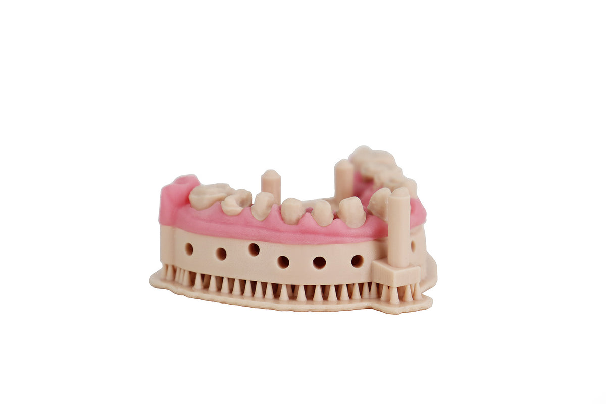 Modelo dental impreso en Liqcreate Dental Model Pro beige con encía